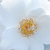 Bianco - Rose Polyanthe - Milly™